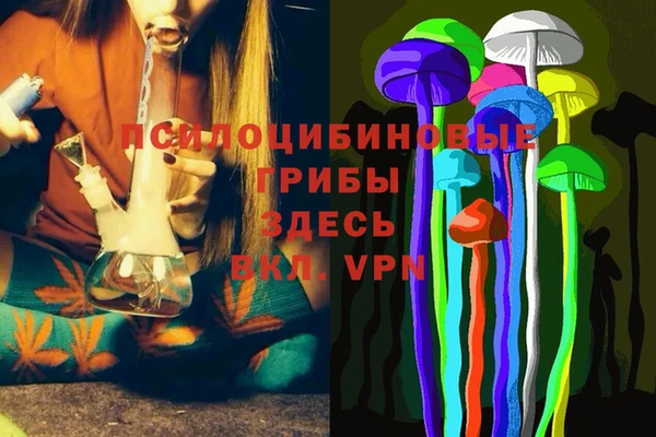мескалин Абаза